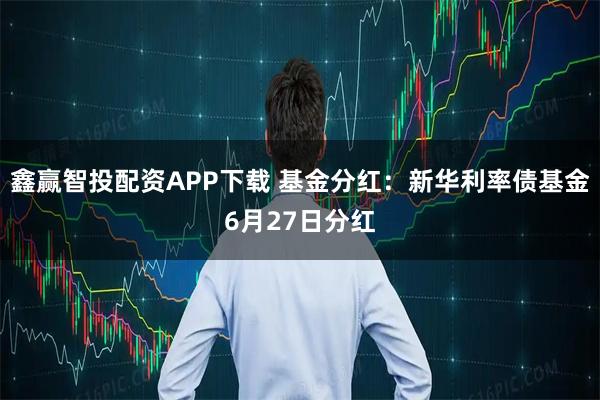 鑫赢智投配资APP下载 基金分红：新华利率债基金6月27日分红