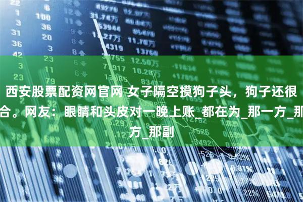 西安股票配资网官网 女子隔空摸狗子头，狗子还很配合。网友：眼睛和头皮对一晚上账_都在为_那一方_那副