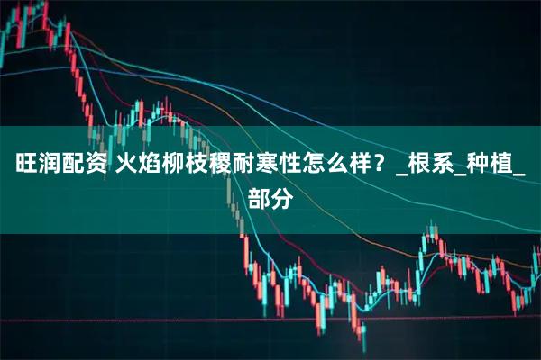 旺润配资 火焰柳枝稷耐寒性怎么样？_根系_种植_部分