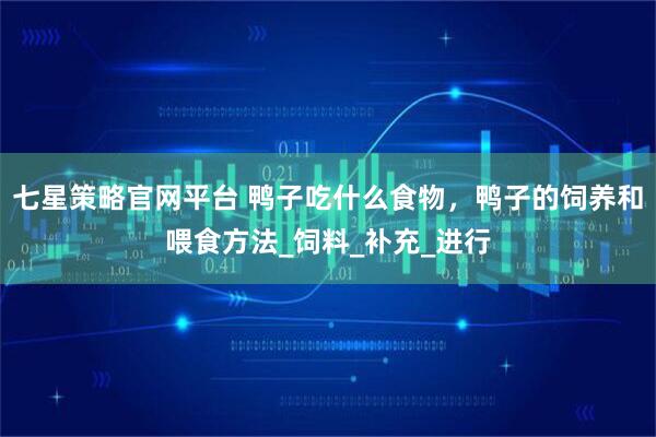七星策略官网平台 鸭子吃什么食物，鸭子的饲养和喂食方法_饲料_补充_进行