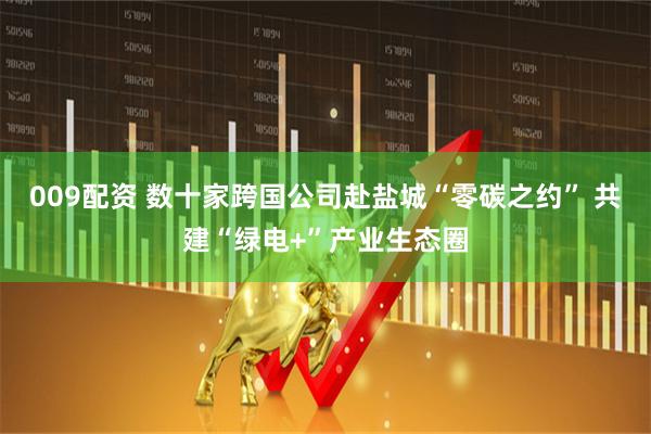 009配资 数十家跨国公司赴盐城“零碳之约” 共建“绿电+”产业生态圈