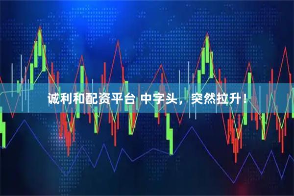 诚利和配资平台 中字头，突然拉升！