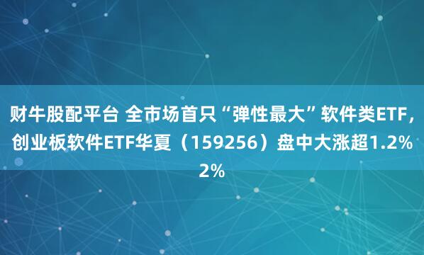财牛股配平台 全市场首只“弹性最大”软件类ETF，创业板软件ETF华夏（159256）盘中大涨超1.2%